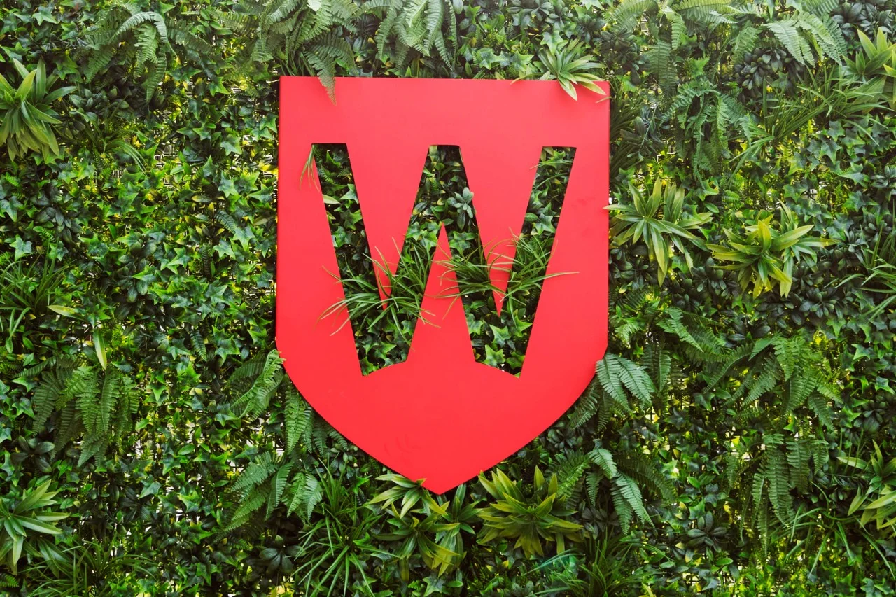 Western Sydney University shield on foliage background,Western Sydney University shield on foliage background Western Sydney University shield on foliage background,Western Sydney University shield on foliage background