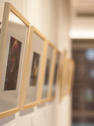 A row of framed pictures on a wall. The first is slightly in focus.