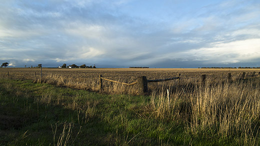 Landscape Near Goroke Victoria