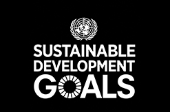 UN SDG Logo for WSU Committment