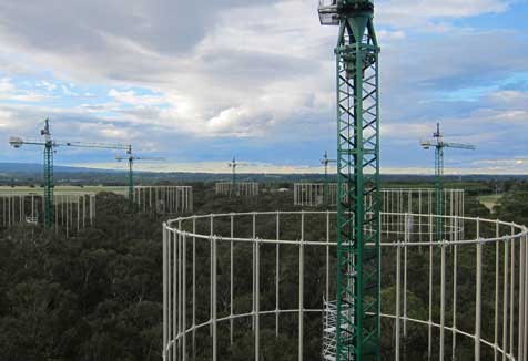 View of EucFACE facility from a crane