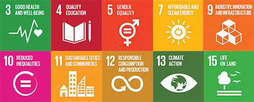 SDG goals that related to WSU research themes