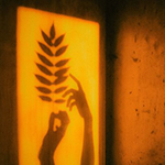 The shape of two hands reaching for and touching a fern-like leaf, surrounded by yellow light. 