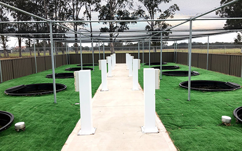 The state-of-art experimental wetland facility at Western Sydney University’s Hawkesbury campus.