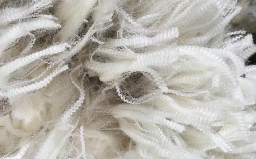 Close up of Merino sheep wool