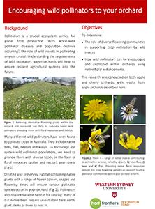 Flowering plants and pollinators factsheet