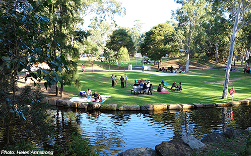 Park with pond and trees, Central Gardens Nature Reserve, Merrylands West.
