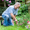 An elderly man gardening