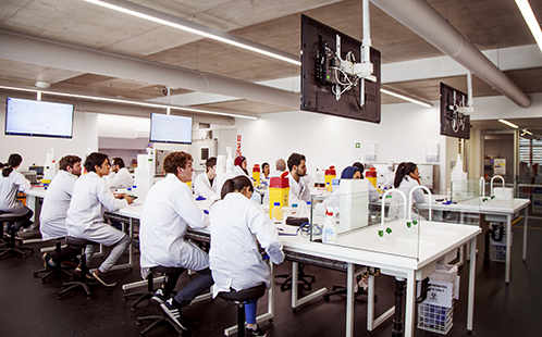 Students in the labs