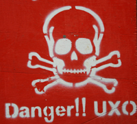 A white skull is painted over a red background with the words 'Danger!!'.