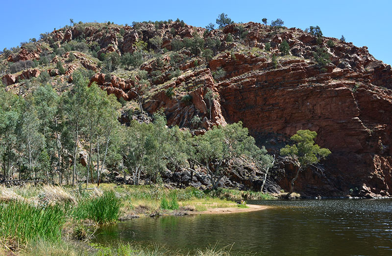 Dryland ecosystems are heavily reliant on water sources like here at Ellery Creek Big Hole near Alice Springs (image credit: Mr David Thompson)