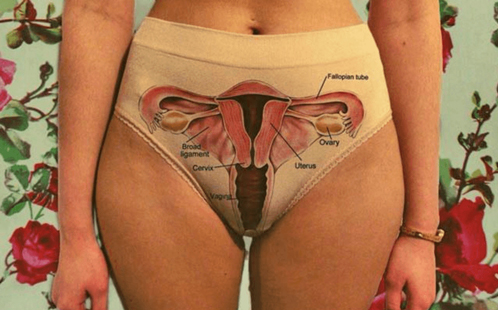 Underpants displaying female anatomy 