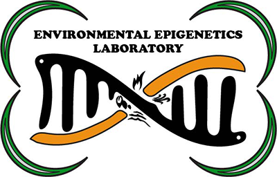 Epigenetics laboratory