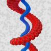 DNA in detail
