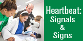 Heartbeat signals and signs