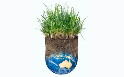 Grass on the world - credit Jeff Giniewicz