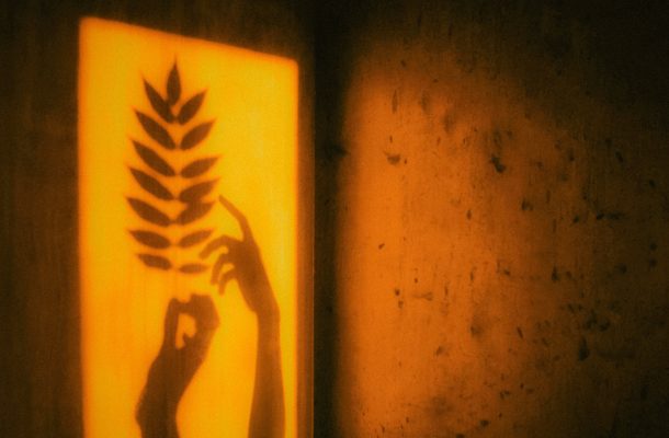 The shape of two hands reaching for and touching a fern-like leaf, surrounded by yellow light.