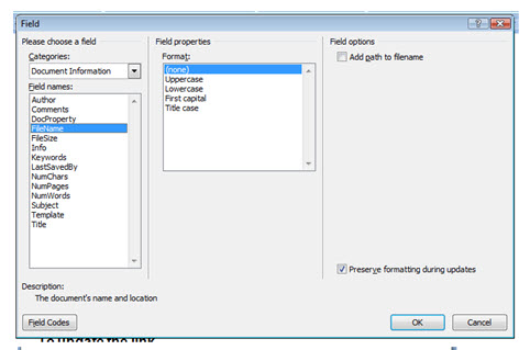 The Field dialogue box in Word 2007