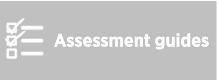 Assessment Guides