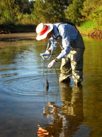 Water quality testing in nepean river using DO probe