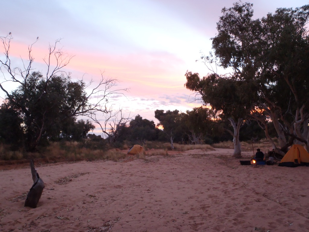 Bush Camp at Quinyambie Study Area
