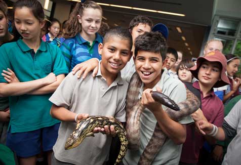 Chullora Public School students get hands on with a couple of reptiles