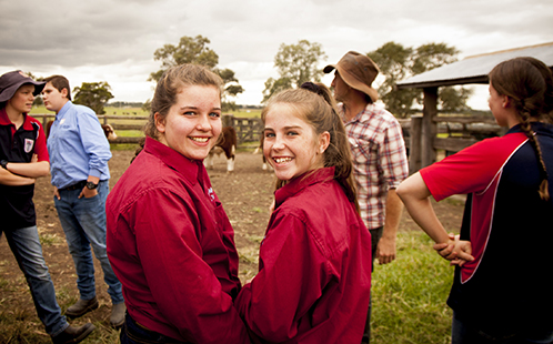 Students at steer challenge