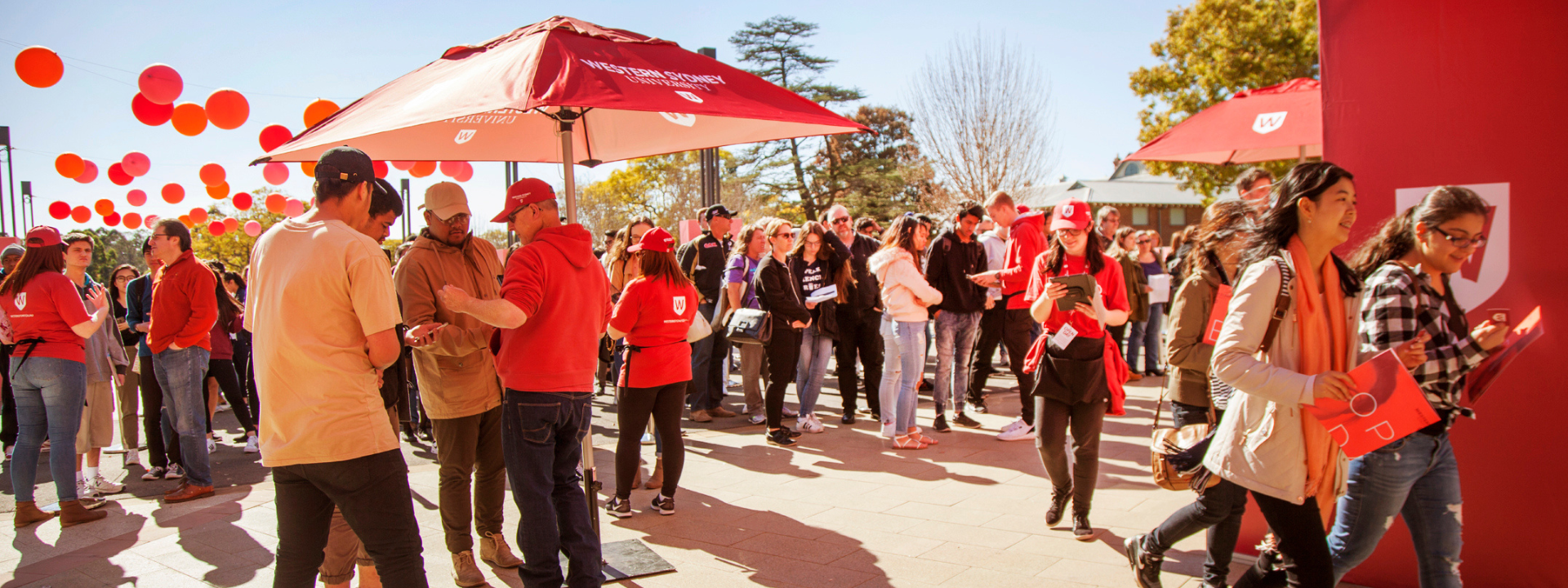 Undergraduate Degrees Undergraduate Degrees