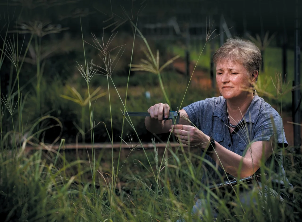 Professor Sally Power