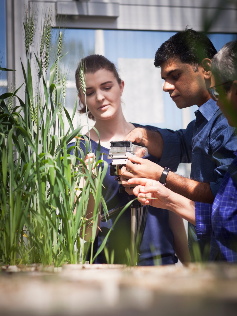 Master of Science Western Sydney University